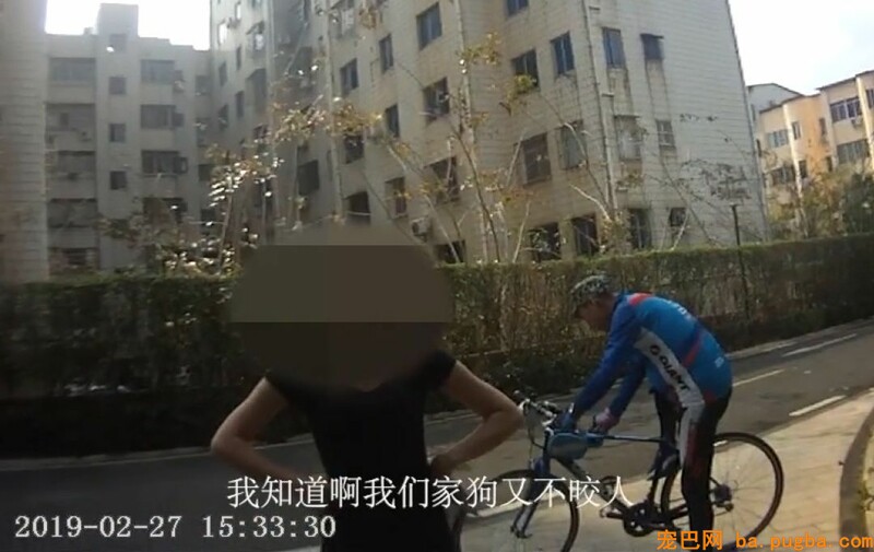 遛狗不牵绳，被充公狗并罚款3050元，网友：干得标致！-2.jpeg