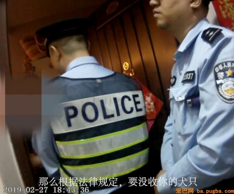 遛狗不牵绳，被充公狗并罚款3050元，网友：干得标致！-3.jpeg