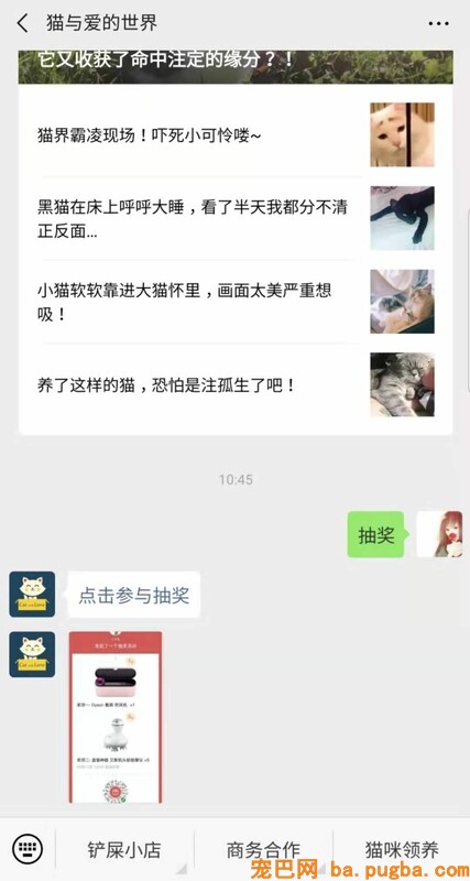 收到花超臭美的一只狗，成果美不外三秒...-6.jpeg