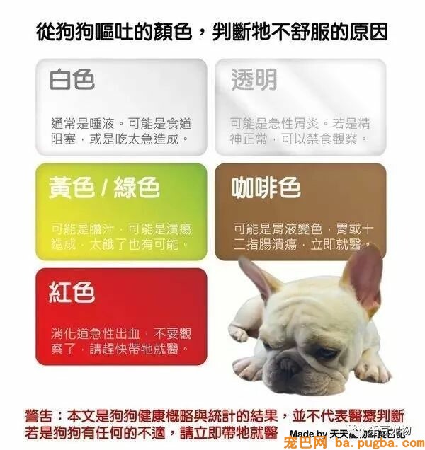 狗狗的禁忌常识都在这了，赶紧珍藏以便应急！-2.jpeg