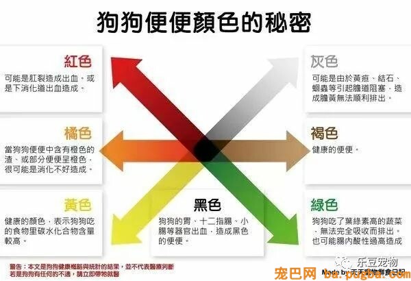 狗狗的禁忌常识都在这了，赶紧珍藏以便应急！-3.jpeg
