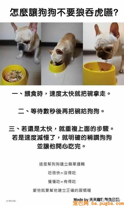 狗狗的禁忌常识都在这了，赶紧珍藏以便应急！-10.jpeg