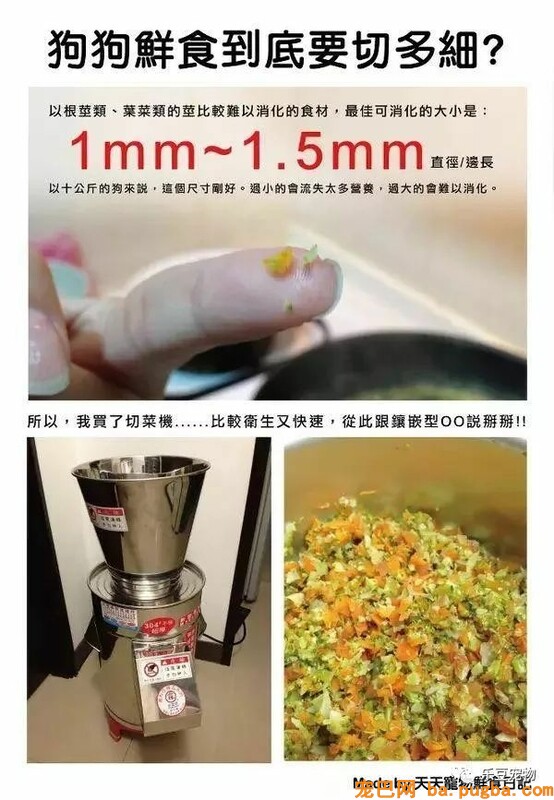 狗狗的禁忌常识都在这了，赶紧珍藏以便应急！-9.jpeg