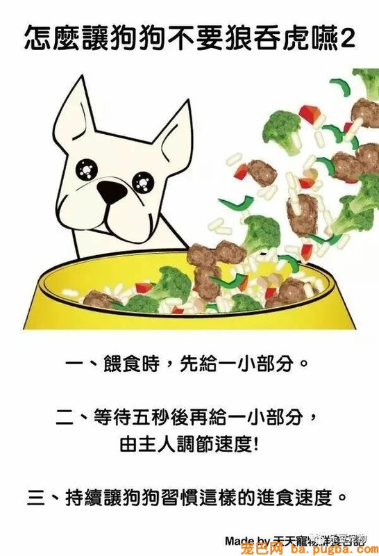 狗狗的禁忌常识都在这了，赶紧珍藏以便应急！-11.jpeg