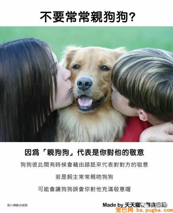 狗狗的禁忌常识都在这了，赶紧珍藏以便应急！-17.jpeg