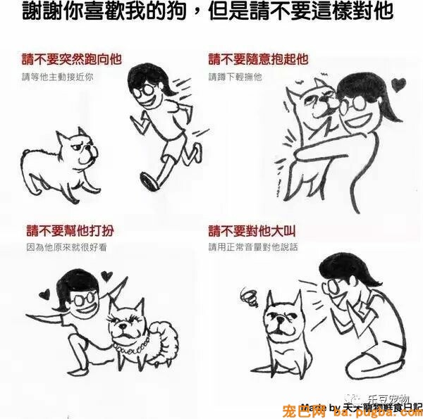 狗狗的禁忌常识都在这了，赶紧珍藏以便应急！-29.jpeg