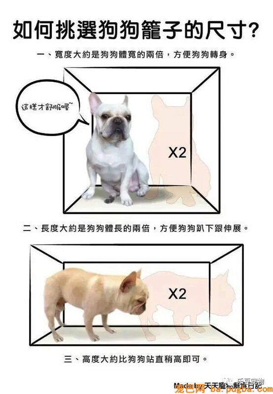 狗狗的禁忌常识都在这了，赶紧珍藏以便应急！-28.jpeg