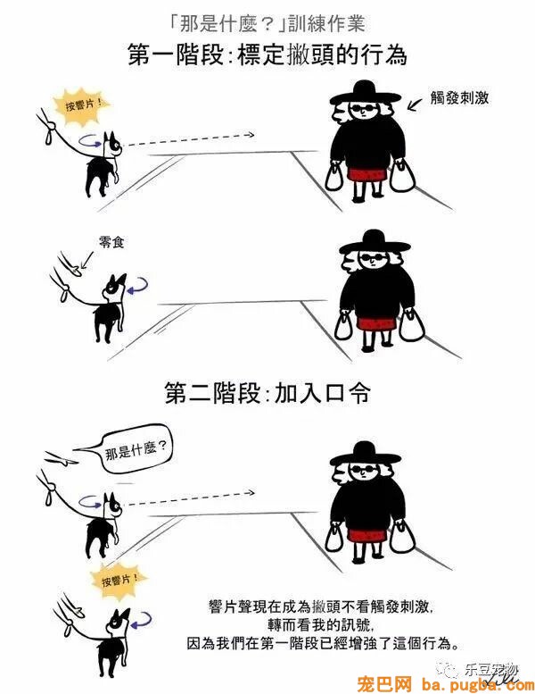 狗狗的禁忌常识都在这了，赶紧珍藏以便应急！-39.jpeg