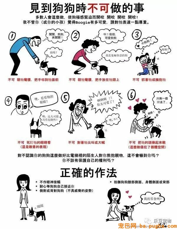 狗狗的禁忌常识都在这了，赶紧珍藏以便应急！-40.jpeg