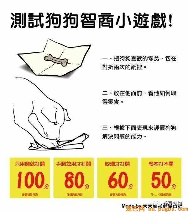 狗狗的禁忌常识都在这了，赶紧珍藏以便应急！-43.jpeg