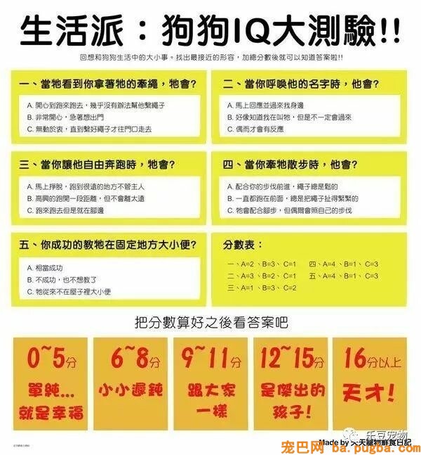 狗狗的禁忌常识都在这了，赶紧珍藏以便应急！-45.jpeg
