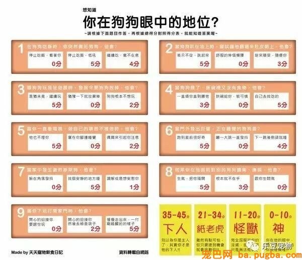 狗狗的禁忌常识都在这了，赶紧珍藏以便应急！-46.jpeg