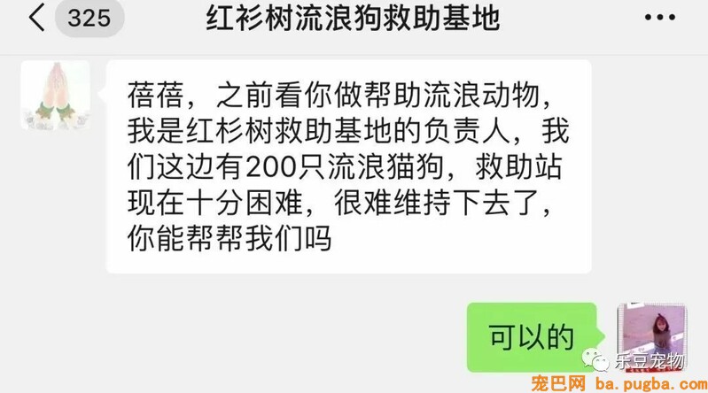 一个瘦弱女人庇护着三百只漂泊狗，她们能否熬过此次大雪？-2.jpeg
