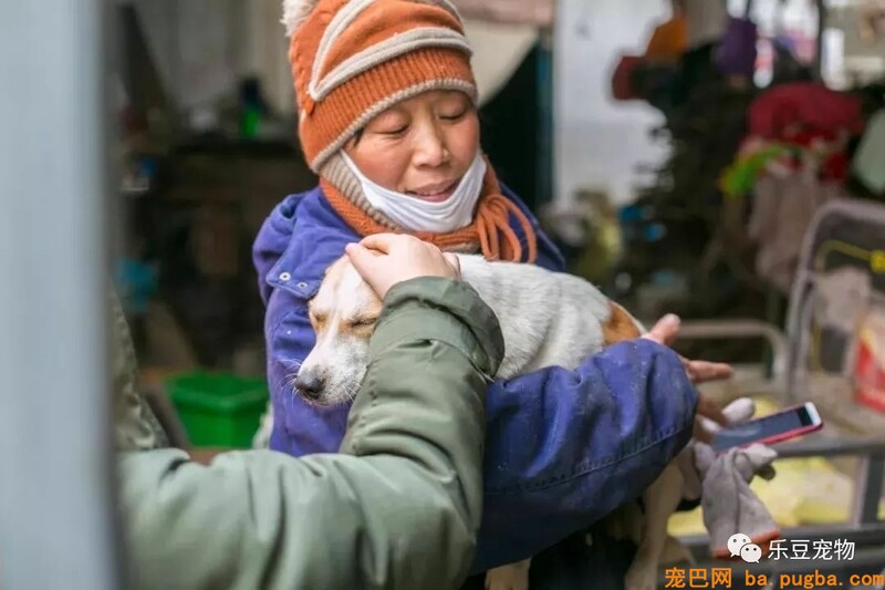 一个瘦弱女人庇护着三百只漂泊狗，她们能否熬过此次大雪？-27.jpeg