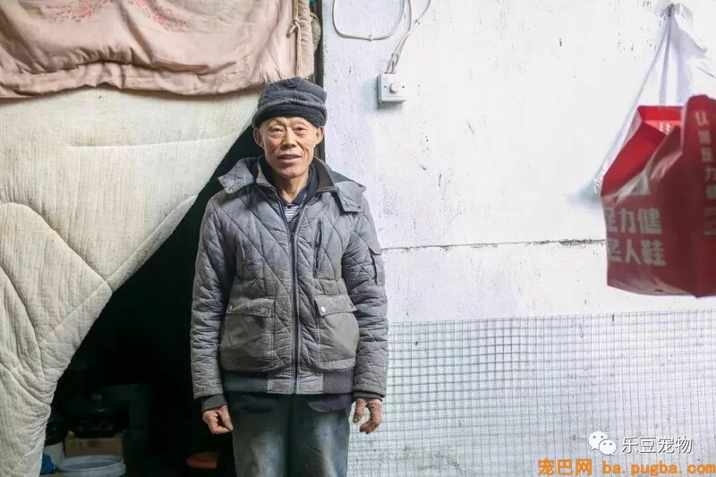 一个瘦弱女人庇护着三百只漂泊狗，她们能否熬过此次大雪？-58.jpeg