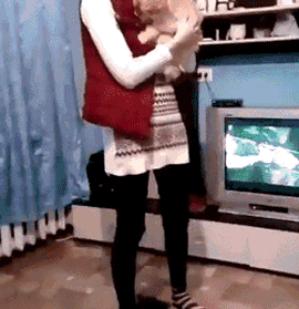 狗，真的会有嫉妒心理吗？-2.gif