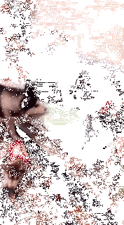 狗，真的会有嫉妒心理吗？-3.gif