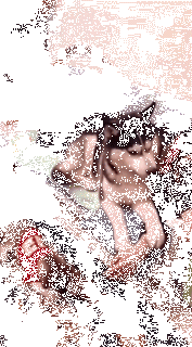狗，真的会有嫉妒心理吗？-4.gif