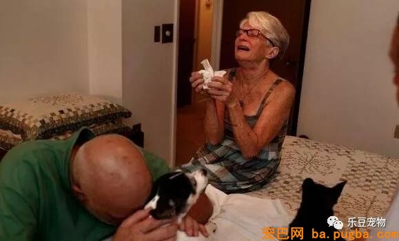 假如不是逼不得已，谁愿意给狗狗安乐死？看了照片好心疼！-5.jpeg