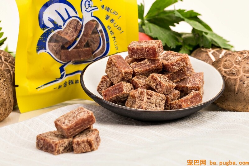 宠物狗应该吃什么零食?狗狗不宜吃什么零食-2.jpeg