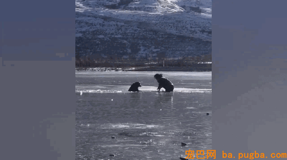 狗狗掉入冰窟窿，大声呼救，主人拼命赶了过来，好暖！-3.gif
