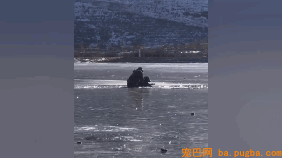 狗狗掉入冰窟窿，大声呼救，主人拼命赶了过来，好暖！-4.gif