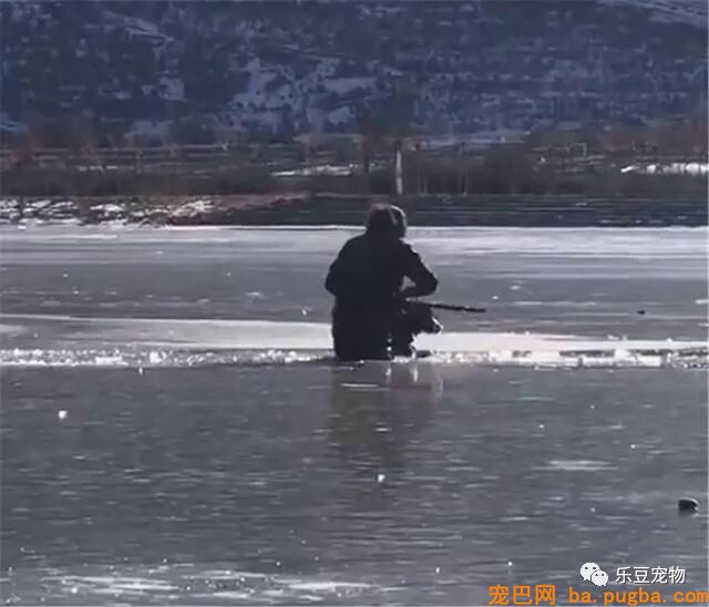 狗狗掉入冰窟窿，大声呼救，主人拼命赶了过来，好暖！-5.jpeg
