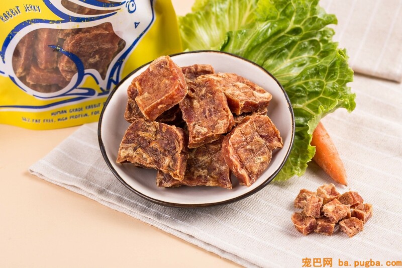 狗狗的饲养方法，饲养狗狗的常识介绍-1.jpeg