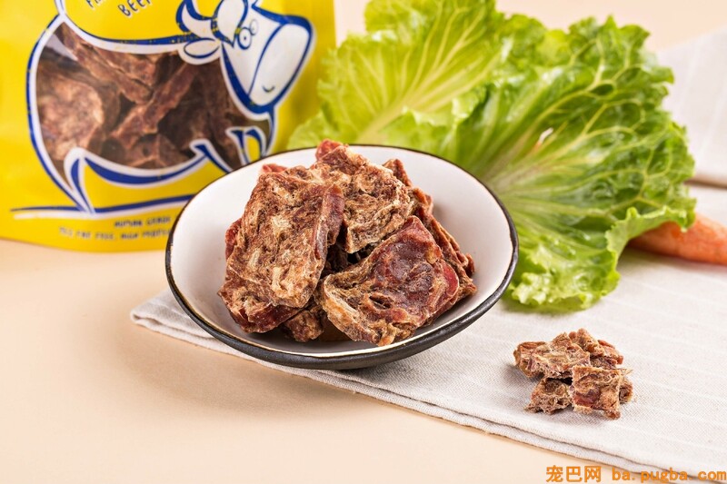 狗狗的饲养方法，饲养狗狗的常识介绍-2.jpeg