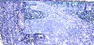 它被三只狗狗咬破肚皮，却照旧在原地等待主人……-4.gif