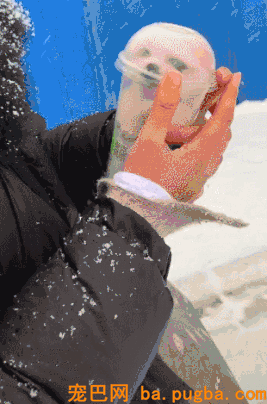 小狗被主人装进茶杯，当成暖手宝，头冒出来时众人被萌坏！-5.gif