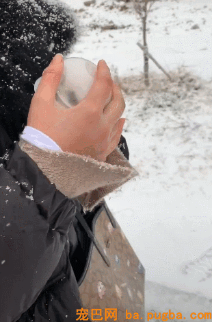 小狗被主人装进茶杯，当成暖手宝，头冒出来时众人被萌坏！-4.gif