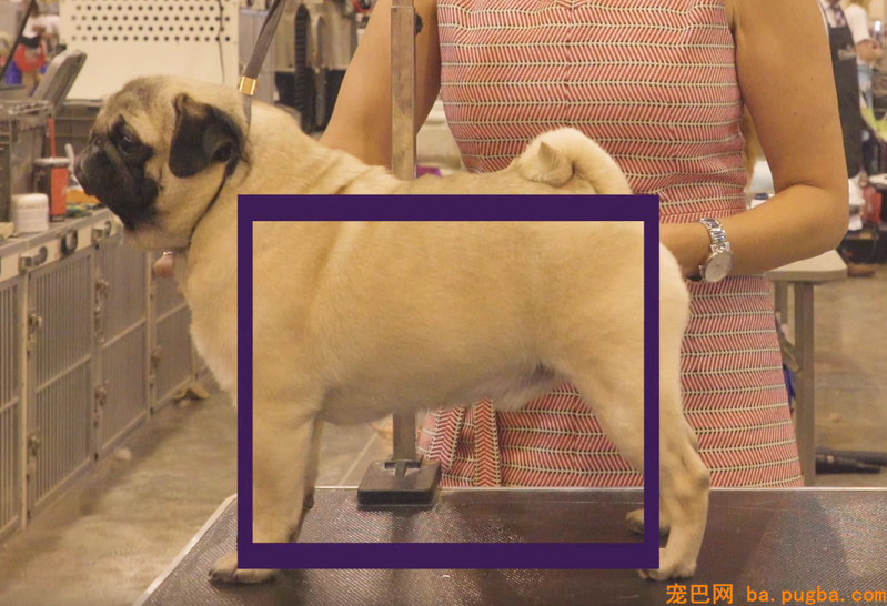 小方体巴哥