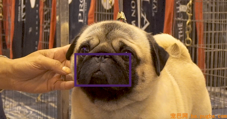 QQ图片20190327175110.png