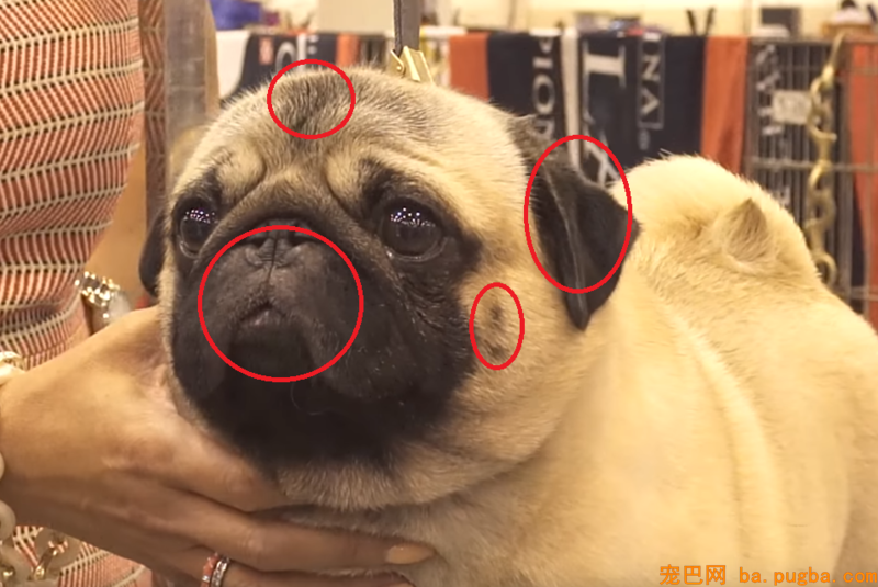 QQ图片20190327175037.png