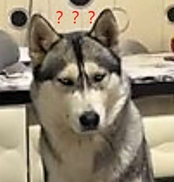 两个小时前说好出门的主人化装到如今，二哈：比及天荒地老......-3.jpeg
