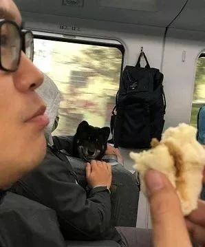 火车上吃东西，成果邻座传来一道炙热的目光...-2.jpeg