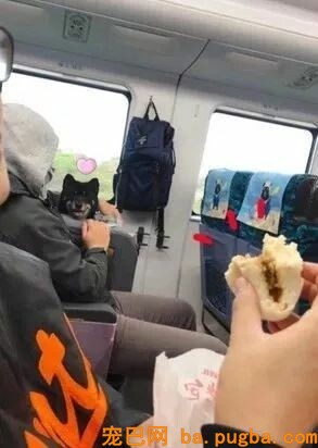火车上吃东西，成果邻座传来一道炙热的目光...-1.jpeg