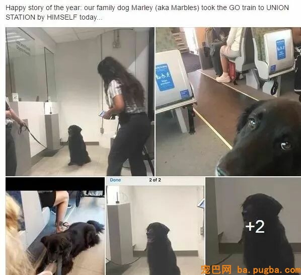 火车上吃东西，成果邻座传来一道炙热的目光...-9.jpeg