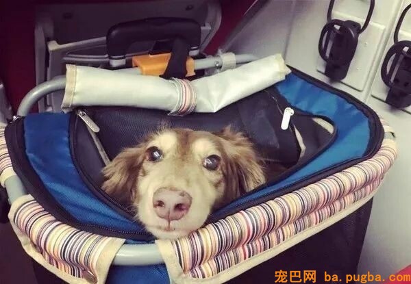 火车上吃东西，成果邻座传来一道炙热的目光...-6.jpeg