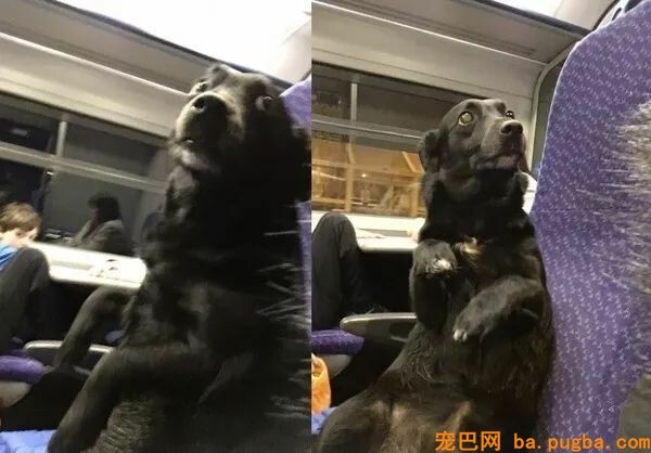 火车上吃东西，成果邻座传来一道炙热的目光...-8.jpeg