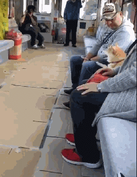 火车上吃东西，成果邻座传来一道炙热的目光...-10.gif