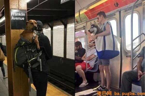 火车上吃东西，成果邻座传来一道炙热的目光...-16.jpeg