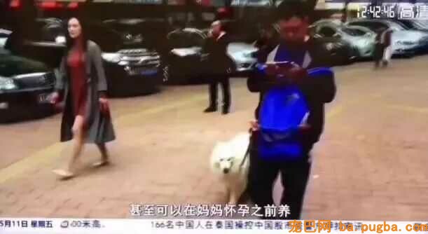 再一次提醒：怀孕完全能够养狗-9.jpeg