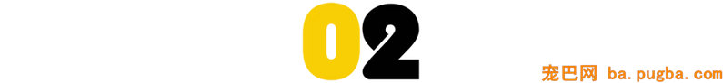 再一次提醒：怀孕完全能够养狗-10.png