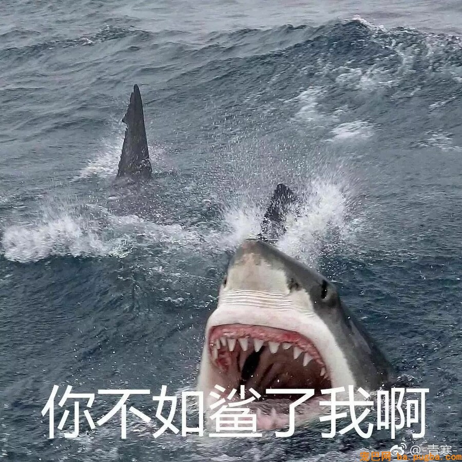 那些年汪星人犯下的二事...-8.jpeg