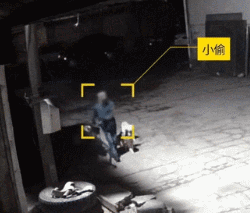 那些年汪星人犯下的二事...-4.gif