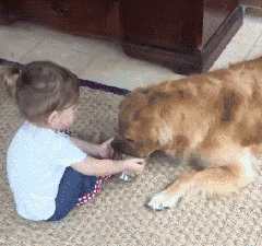 我的哥哥，是只阿拉斯加！-9.gif