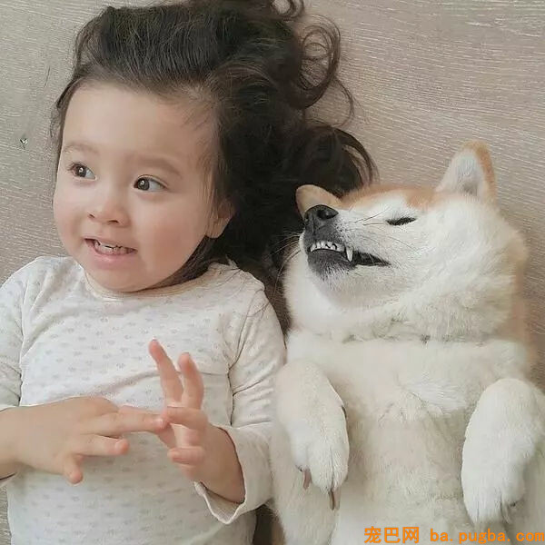 小孩想养狗，你会同意吗？-8.jpg