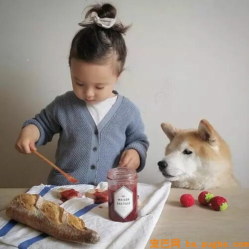 小孩想养狗，你会同意吗？-10.jpg